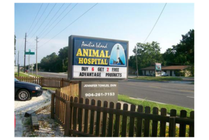 Tour - Amelia Island Animal Hospital