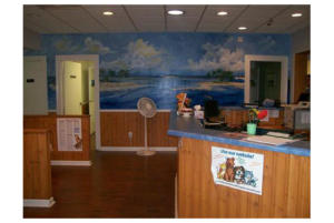 Tour - Amelia Island Animal Hospital