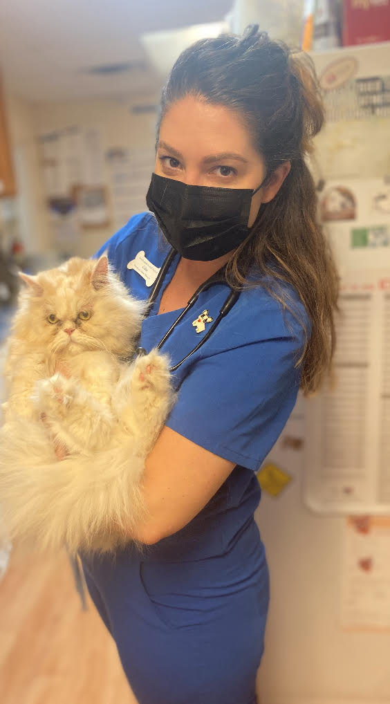 Staff – Amelia Island Animal Hospital